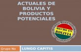 Exportaciones Actuales de Bolivia y Productos les