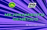 MEJORAMIENTO GENETICO CUYES