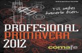 Catálogo Profesional Primavera 2012 Comafe
