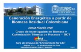 Biomasa colombia