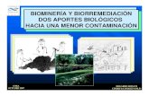 20071005 Biomineria y Biorremediacion Donati