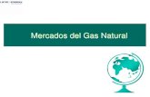 Produccion y Demanda de Gas Natural en El Mundo
