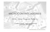 Microcontroladores  1ra Parte