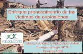 26-6-2012.Paciente Critico. VIII. Curso Internacional Emerg. y Desastres