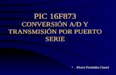 Pic16f873 - Conversion Ad y Transmision Por Puerto Serie