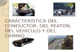 Caracteristicas Del Peaton, Vehiculo