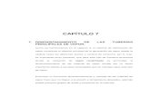 CAPITULO VII Calculos de Tuberia de Vapor