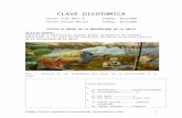 Informe Museo clave dicotomica