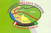 Interoceánica Perú Brasil: Ruta Chimbote - Tocache