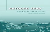Manual Practico Autocad 2006