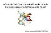 Citocromo P450 y Tx Renal