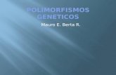 Polimorfismos Geneticos