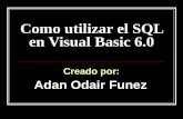 SQL Visual Basic 6.0