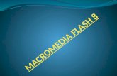 Macromedia flash 8