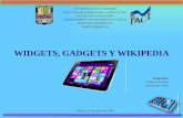 Widgets, gadgets y wikipedia