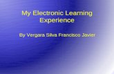 My Electronic Learning Experience