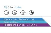 Futuro Labs - Reporte Mensual Febrero 2013