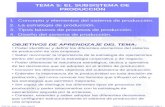TEMA 5 EL SUBSISTEMA DE PRODUCCION.ppt