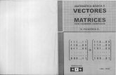MB-2-Vectores y Matrices - R. F. G.