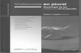 Kaplan Violencias en Plural Cap 1 Violencias en La Escuela u