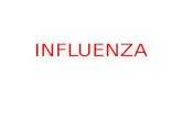 42. Influenza (06-Nov-2013)