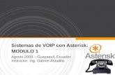 Sistemas de VoIP con Asterisk: Modulo I