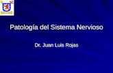 Patología Del Sistema Nervioso - Inflamatoria y Degenerativa