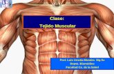 06 Histología Tejido Muscular