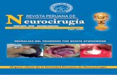 Revista Peruana de Neurocirugía