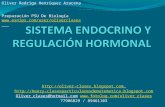 10 - Presentación 10 - Sistema Endocrino