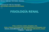 04 - Presentación 04 - Sistema Renal (Fisiologia Renal)