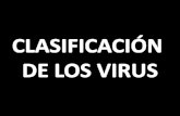 CLASIFICACIÓN DE LOS VIRUS