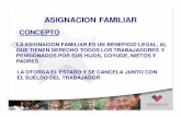 IPS - Asignación Familia y Subsidio Único Familiar