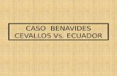 Consuelo Benavides Cevallos Vs. Ecuador