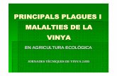 Plagues i Malalties de La Vinya en Agric. Ecol.