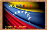 IE Application Alejandrina Echeverria Venezuela