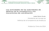 Presentación Isabel Muñoz-Presidenta del Consejo de Defensa de la Competencia de Andalucía - Seminario de Análisis Económico de la Política de Competencia