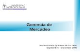 Gerencia De Mercadeo Unimet 2009