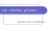 Las células gliales - Águeda García-Redondo