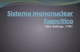 Sistema mononuclear fagocítico