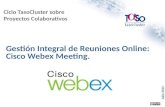 Gestión Integral de Reuniones Online: Cisco Webex Meeting