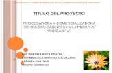PROYECTO PROCESADORA Y COMERCIALIZADORA DE DULCES CASEROS HUILENSES “LA MARGARITA”