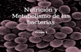 Metabolismo y nutrición de las bacterias