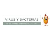 Diapositivas virus y bacterias anny