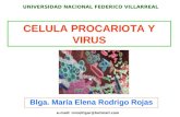 Ceua procariote y virus