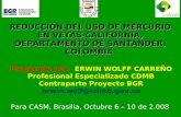 Erwin Wolff Carreño, Profesional Especializado CDMB, Contraparte Proyecto BGR, Reducing the Use of Mercury in the Vetas-California, Santander Department, Colombia