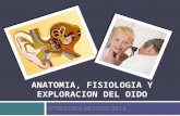 Anatomia, fisiologia y exploracion del oido