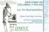 Anatomia de Columna. Generalidades, Parte 1: Craneo-Cervical