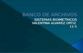 Banco de archivos- Valentina Álvarez Ortiz.