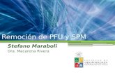 Remoción de PFU y SPM